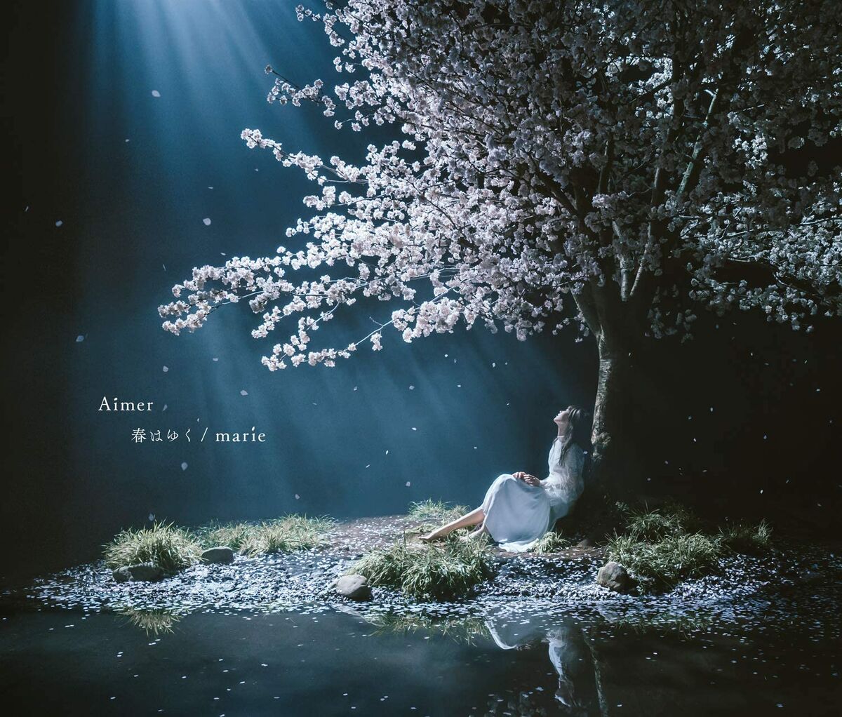 Aimer 『春はゆく/marie』特典ポスター Haru wa Yuku / marie | Jpop Wiki | Fandom