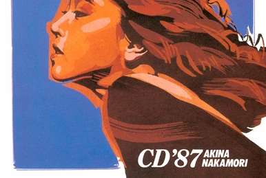 The Century of AKINA ~ Warner 30th Anniversary Box | Jpop Wiki