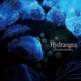 Hydrangea cover
