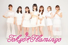 Tokyoflamingo-sep-2019