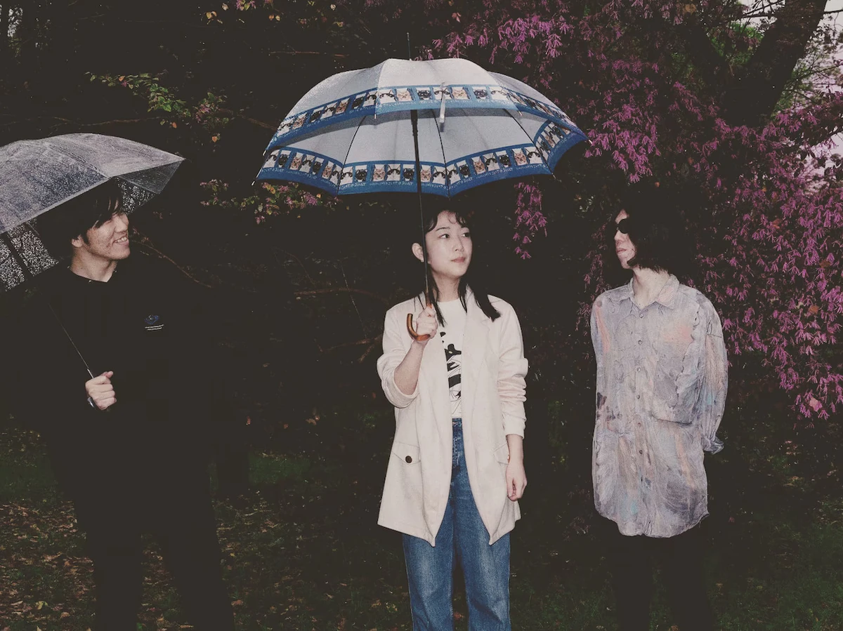 zocchi Jpop Wiki Fandom