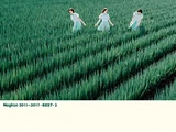 Negicco 2011~2017 -BEST- 2