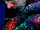 Supernova
