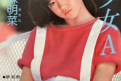 The Century of AKINA ~ Warner 30th Anniversary Box | Jpop Wiki