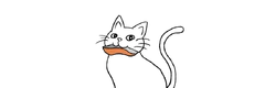 Catfood salmons logo2