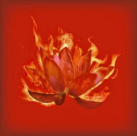 Regular Edition / Limited Edition