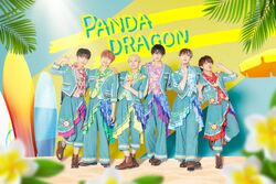 パンダドラゴン パラゴン CD February 万国 ホアロハ パンダドラゴン 3rdアルバム『FEBRUARY』ジャケット写真&楽曲