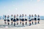 Promoting Sagase Diamond Lily (March 2019)