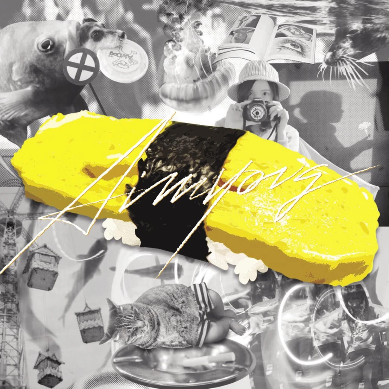 その他 tamago tamago | Jpop Wiki | Fandom