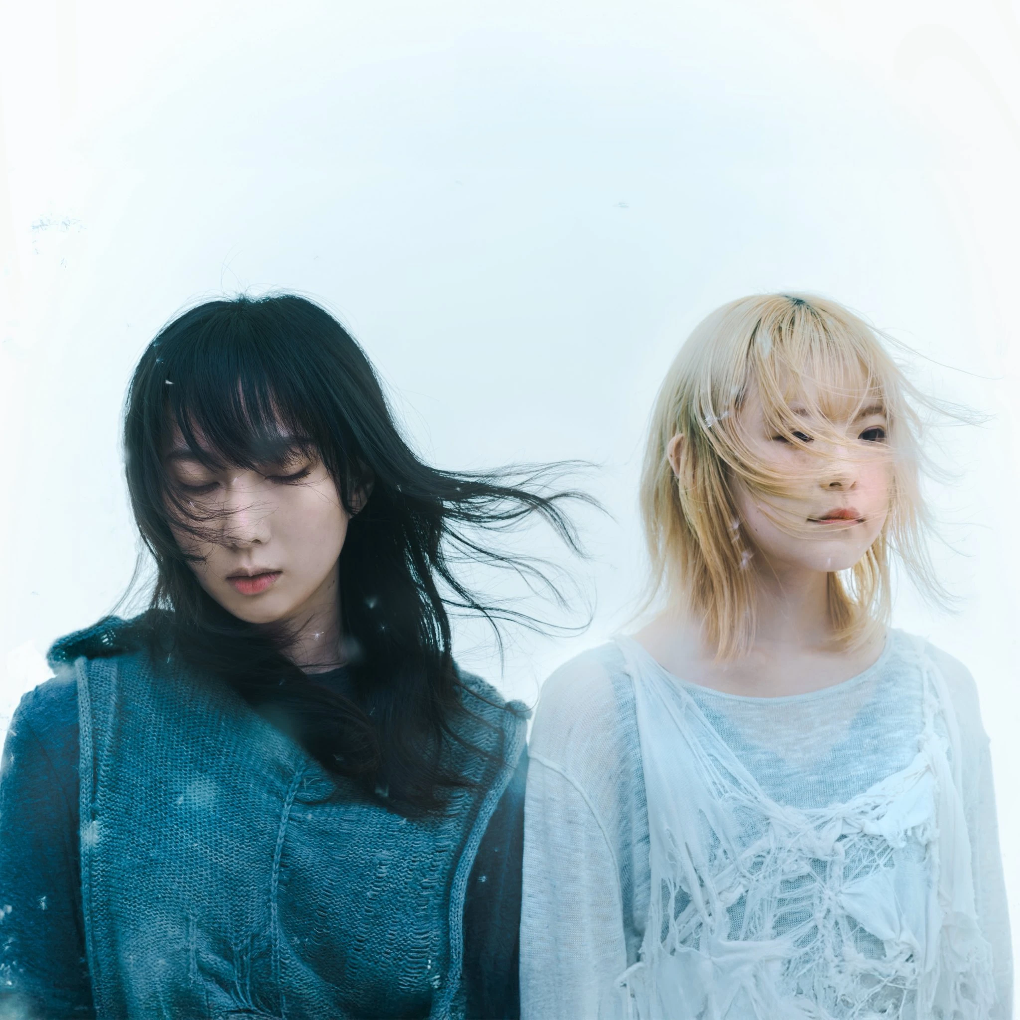 Regal Lily | Jpop Wiki | Fandom