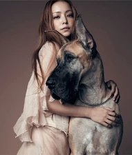 Promotional photo for Sit! Stay! Wait! Down! / Love Story