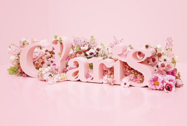 ClariS☆スタッフ on X: 