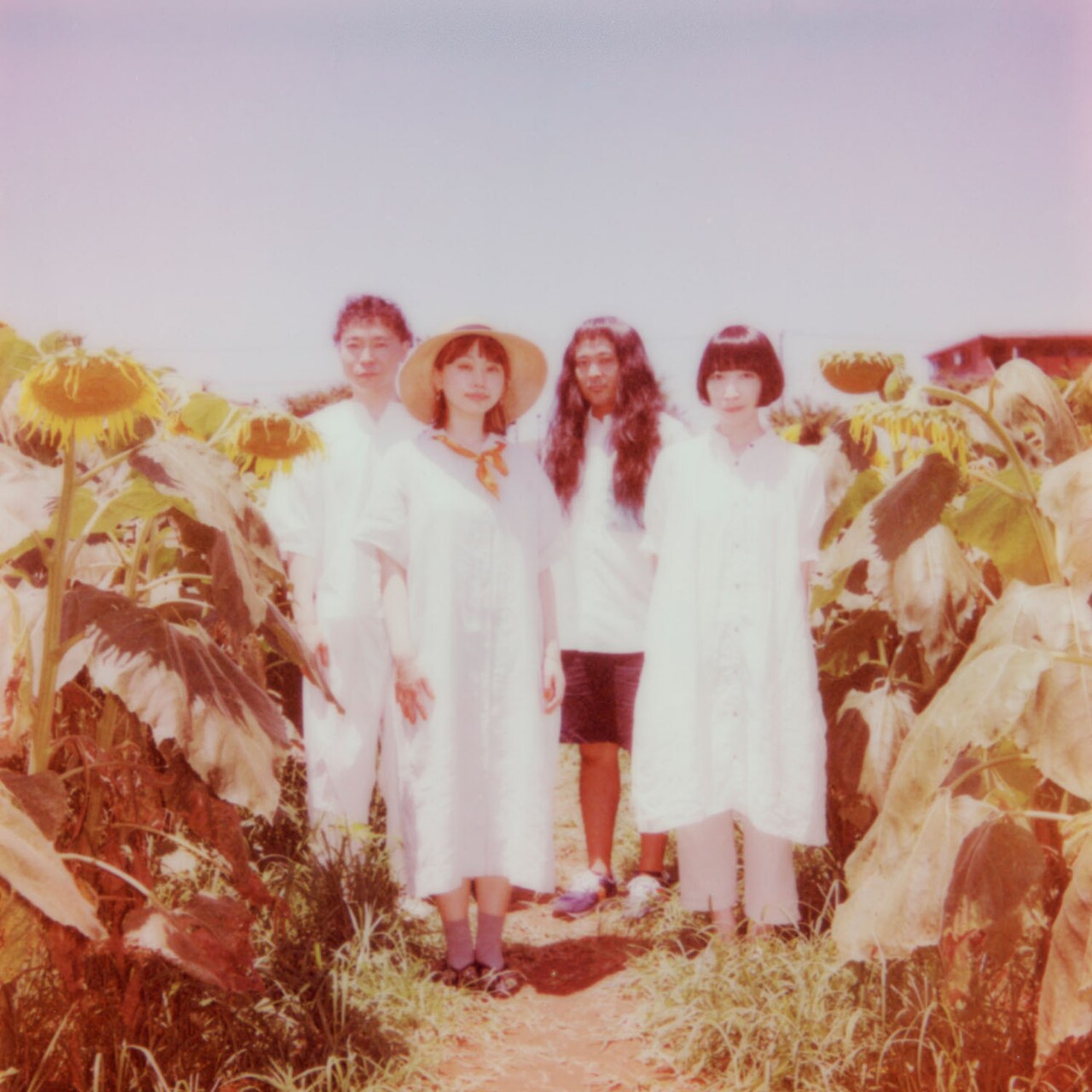 全員のサイン入り THE NATSUYASUMI BAND TNB! The Natsuyasumi Band | Jpop Wiki | Fandom