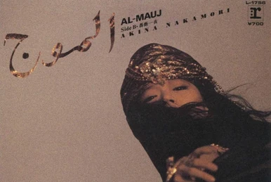 The Century of AKINA ~ Warner 30th Anniversary Box | Jpop Wiki