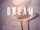 DREAM (Shimizu Shota)