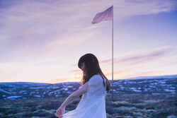 Aimer, Japanese Pop, Anime, Singer, Sun Dance, 5th Album, B2 Shop Promo  Poster!