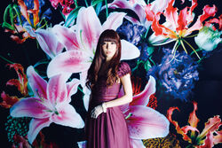 Mystical Flowers | Jpop Wiki | Fandom