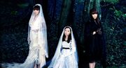 Kalafina - Fairytale Promo