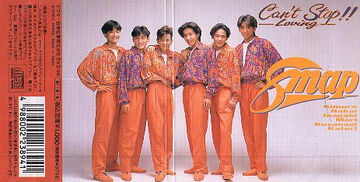 SMAP 立て看板 Can't Stop!! Can't Stop -Loving- SMAP 8cmシングルCD スマップ 中古｜Yahoo