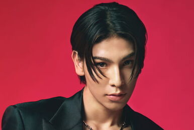 THE BEST 2020-2025 | Jpop Wiki | Fandom