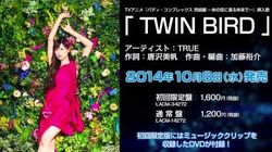 Hajimari No Tsubasa Twin Bird Jpop Wiki Fandom