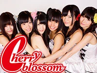 Cherry Blossom | Jpop Wiki | Fandom