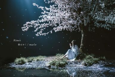 Aimer 直筆サイン入りポスター「daydream」