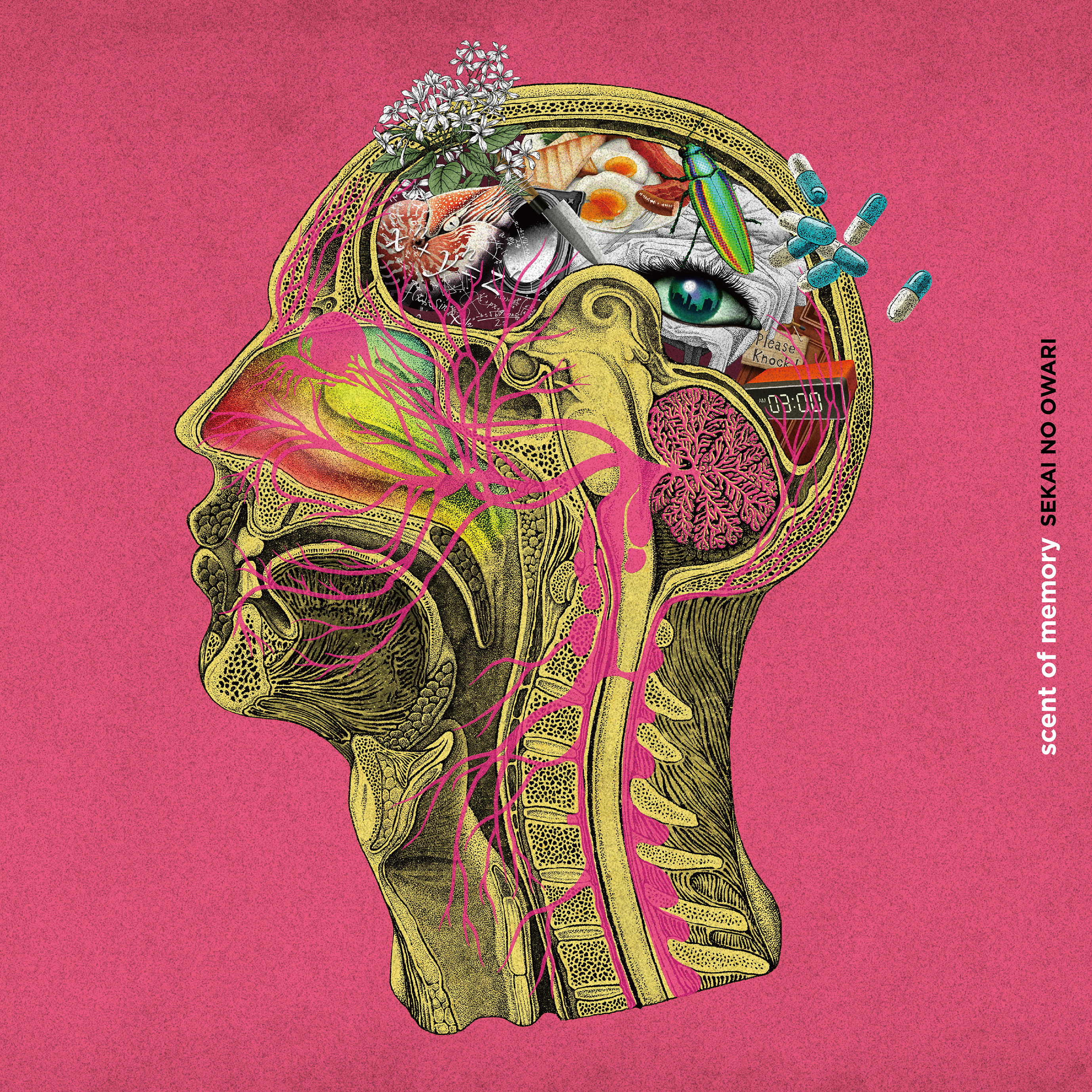 SEKAI NO OWARI – Scent Of Memory | Releases | Discogs