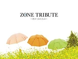 ZONE Tribute ~Kimi ga Kureta Mono~