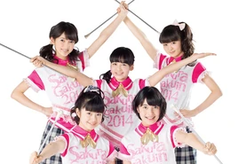 Twinklestars 2014