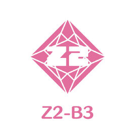 Z2-B3 Logo