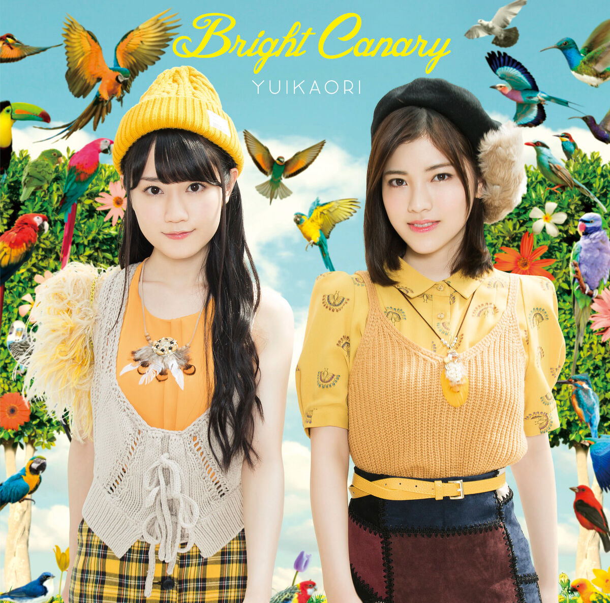 Bright Canary | Jpop Wiki | Fandom