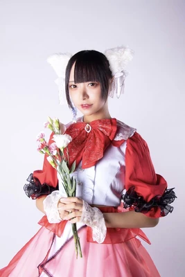 Irohasakura-meiri-oct23