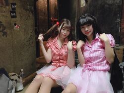 Amaryllis | Jpop Wiki | Fandom