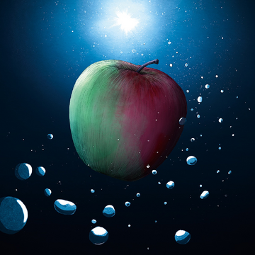 邦楽 melon THE BINARY melon | Jpop Wiki | Fandom
