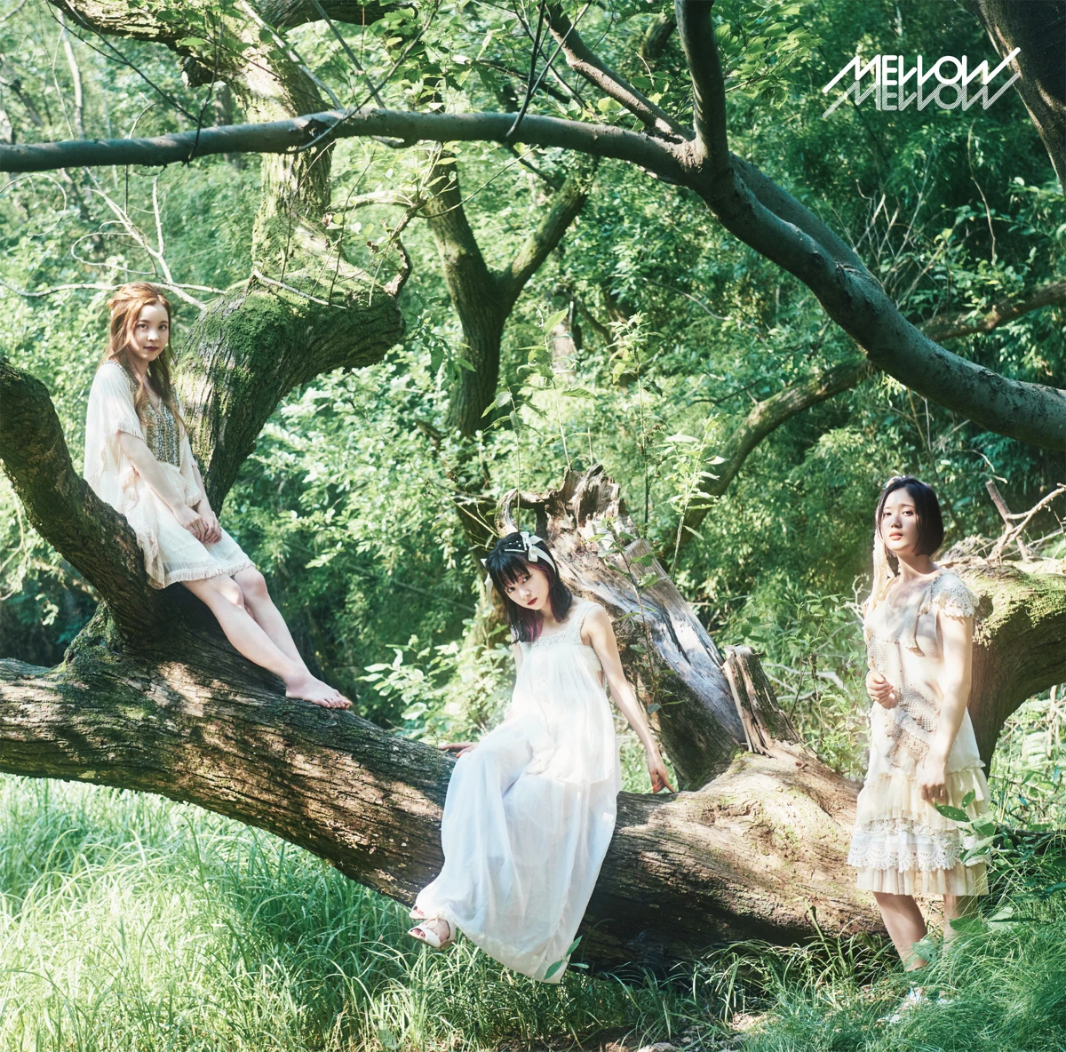 WANING MOON | Jpop Wiki | Fandom