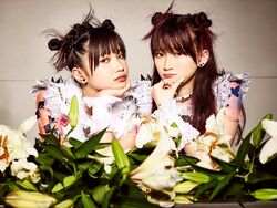The Idol Formerly Known As Ladybaby – Pelo | Releases | Discogs