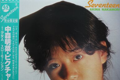 AKINA BOX 1982-1989 | Jpop Wiki | Fandom