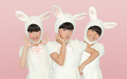 RABBIT HUTCH | Jpop Wiki | Fandom