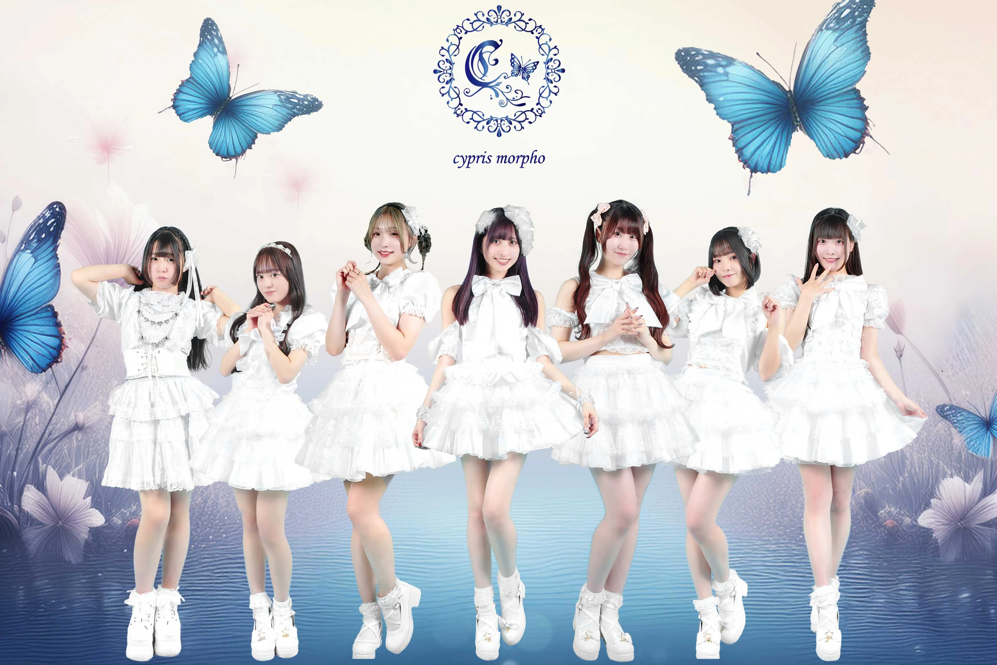 キプリスモルフォ！ 楽天市場】モルフォ Morpho CYPRIS キプリス Perla nera ペルラ