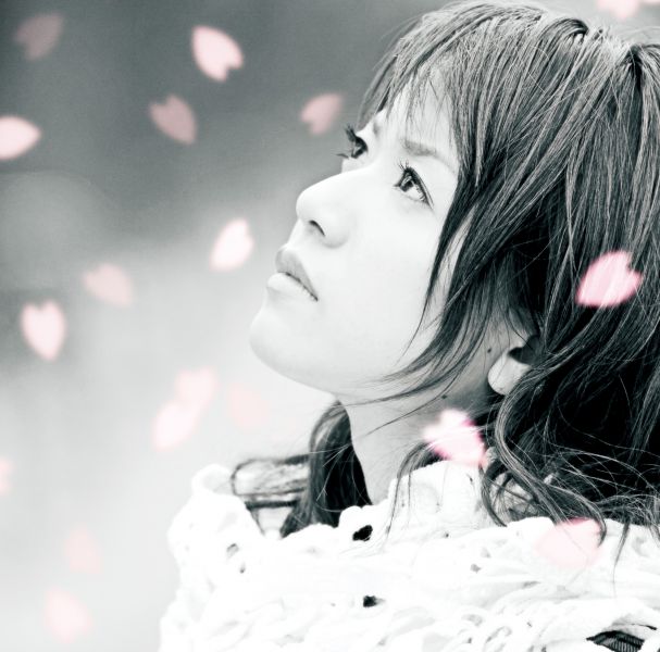Yokogao Watashi No Shiranai Sakura Ima Demo Anata Ga Jpop Wiki Fandom Yokogao Watashi No Shiranai Sakura Ima Demo Anata Ga Jpop Wiki Fandom