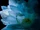 LUNA SEA MEMORIAL COVER ALBUM -Re:birth-