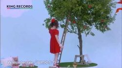 W Wonder Tale Jpop Wiki Fandom