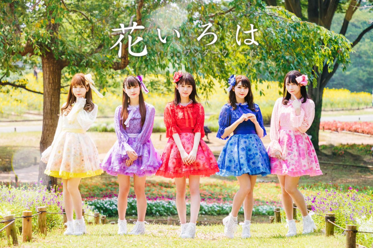 Hana Iroha From Wonder Weed Jpop Wiki Fandom Hana Iroha From Wonder Weed Jpop Wiki Fandom