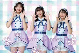 Blossom Garden 2024