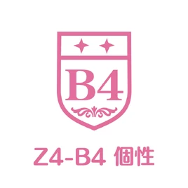 Z4-B4 Logo