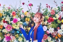 Karen | Jpop Wiki | Fandom