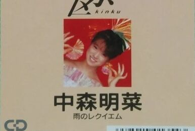 The Century of AKINA ~ Warner 30th Anniversary Box | Jpop