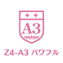 Z4-A3 Logo