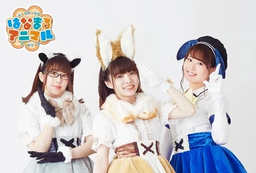 yasomyuハワイアン、アニマルバンド、女の子 アニマルヘアバンド コアラ | 円山裏参道WawA◎◎ミュージアム